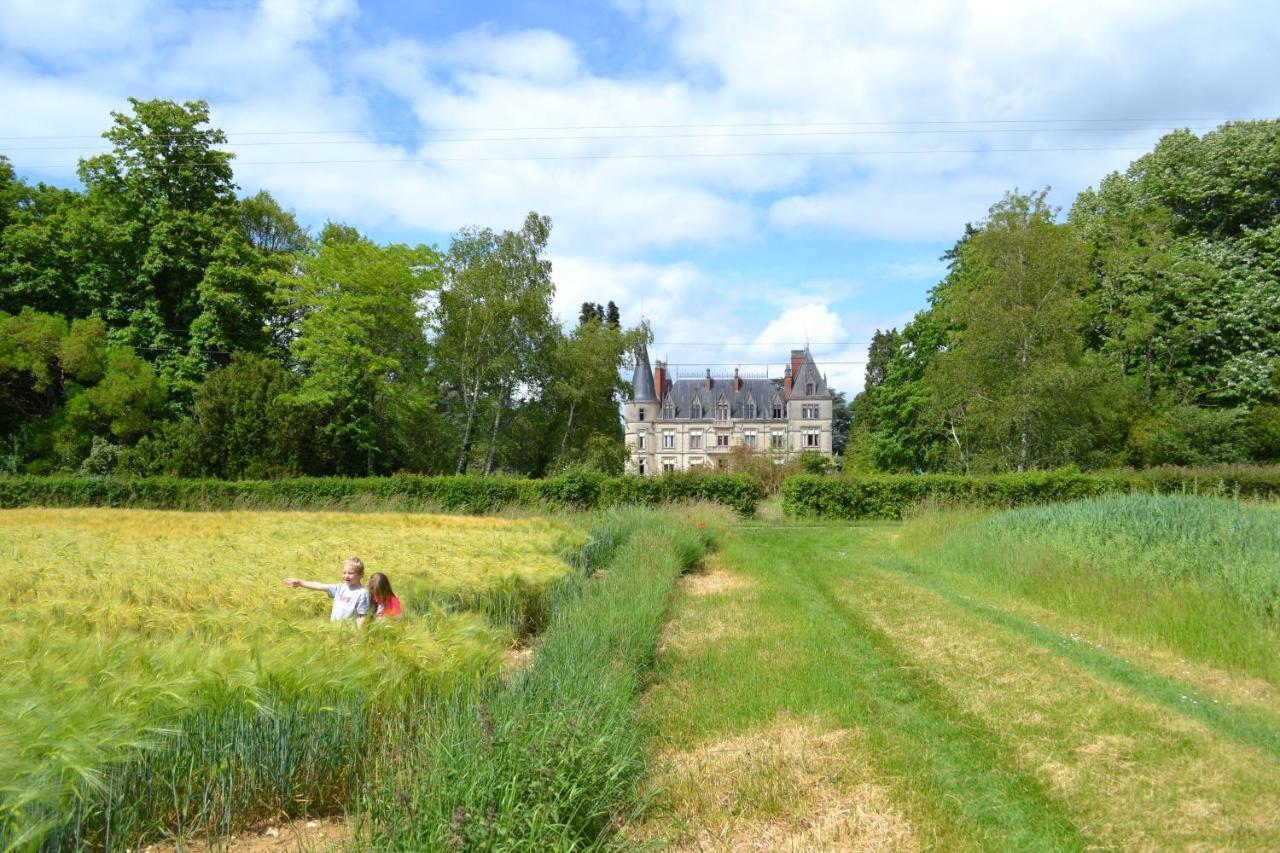 Chateau Le Boisrenault Hotel Buzançais Kültér fotó